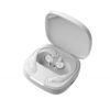 Wireless Ear-Hook Bluetooth Earbuds